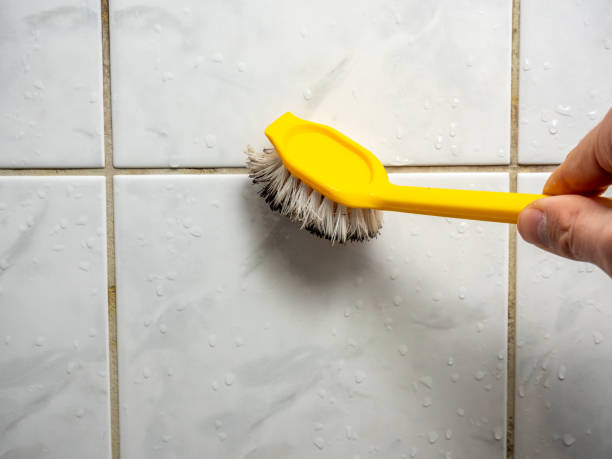 Best Black Mold Removal  in Hillburn, NY
