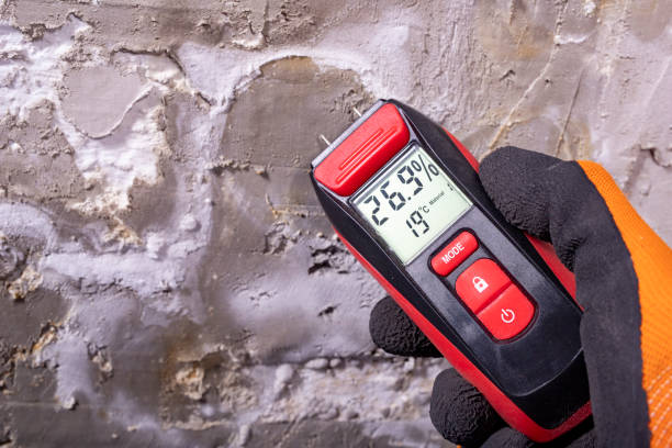 Best Mold Removal Near Me  in Hillburn, NY