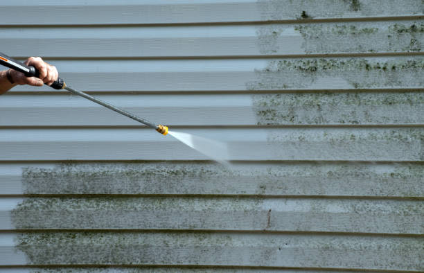 Best Certified Mold Removal  in Hillburn, NY