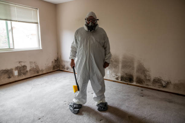 Best Mold Testing  in Hillburn, NY